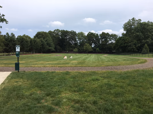 South Westnedge Dog Park